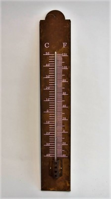 Zaden speciaal en exotisch Tuingereedschappen Thermo- en regenmeters Thermometer geroest metaal L  (WJ81220)