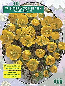 Najaarsbollen Winteraconiet Winteraconiet per 30 (a5334) Najaarsbollen Winteraconiet Winteraconiet per 30 (a5334)