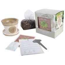 Tuinspecials Plantkadootjes Kweekset Basilicum  (B3200)