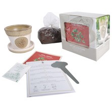 Tuinspecials Plantkadootjes Kweekset Peterselie  (B3240)