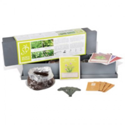 Tuinspecials Plantkadootjes Keukenkruiden kweekbak  (B6400)