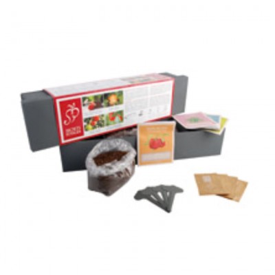 Tuinspecials Plantkadootjes Kinder groente & fruit kweekbak  (B6450)
