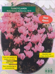 Zomerbollen en vaste planten Tuincyclaam Tuincyclaam hederif. per 5 (a6096) Zomerbollen en vaste planten Tuincyclaam Tuincyclaam hederif. per 5 (a6096)