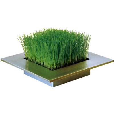 Tuinspecials Plantkadootjes Decoratief gras in zinken bak  (TP85480)