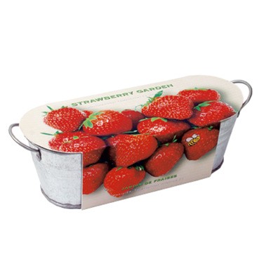 Tuinspecials Plantkadootjes Zinken teiltje Aardbeien tuin  (TP85465)