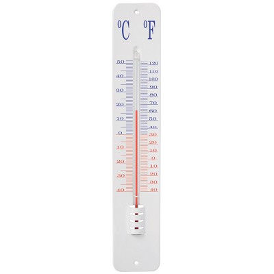 Zaden speciaal en exotisch Tuingereedschappen Thermo- en regenmeters Thermometer op wandplaat 45 cm  (TH13)