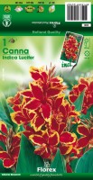 Tuinspecials Zomerbollen en vaste planten Canna Canna
