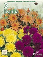 Tuinspecials Zomerbollen en vaste planten Dahlia Dahlia