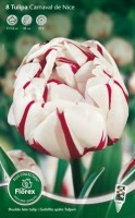 Najaarsbollen Tulpen Dubbele late tulpen Dubbele late tulpen