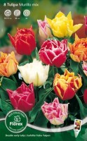 Najaarsbollen Tulpen Dubbele vroege tulpen Dubbele vroege tulpen