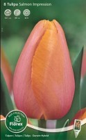 Najaarsbollen Tulpen Enkele vroege tulpen Enkele vroege tulpen