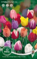 Najaarsbollen Tulpen Greiggii tulpen Greiggii tulpen