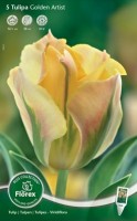 Najaarsbollen Tulpen Viridiflora tulpen Viridiflora tulpen
