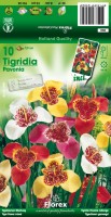Tuinspecials Zomerbollen en vaste planten Diverse soorten Diverse soorten