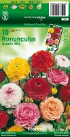 Tuinspecials Zomerbollen en vaste planten Ranonkel Ranonkel