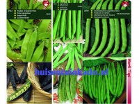 Tuinspecials Zaden Peulvruchten Peulvruchten