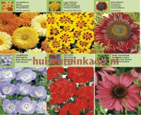 Tuinspecials Zaden Bloemen Bloemen