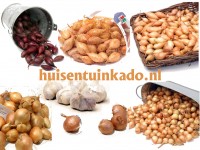 Tuinspecials Zaden Plantsjalotten, uien en knoflook Plantsjalotten, uien en knoflook