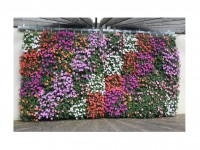Vertigarden: verticaal tuinieren