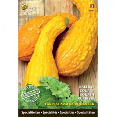 Zaden online Zaden speciaal en exotisch Buzzy Special Squash Summer Crookneck Buzzy Special Squash Summer Crookneck  (TP80094)