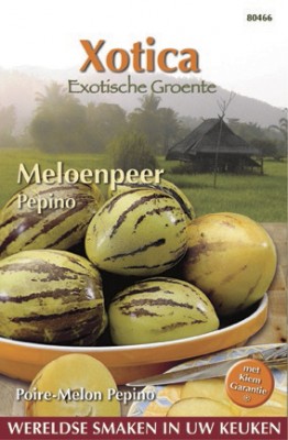 Zaden online Zaden speciaal en exotisch Buzzy Xotica Pepino Meloenpeer Buzzy Xotica Pepino Meloenpeer  (TP80466)