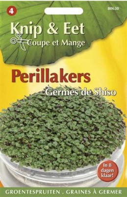 Zaden online Groentezaden Tuinkers zaden Perilla, shiso, Japanse basilicum, Perilla, shiso, Japanse basilicum, (TP80630) Zaden online Groentezaden Tuinkers zaden Perilla, shiso, Japanse basilicum, Perilla, shiso, Japanse basilicum, (TP80630)