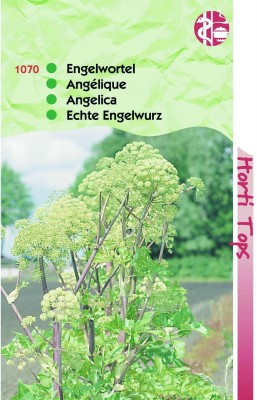 Zaden online Kruidenzaden Engelwortel (Angelica arch.) Engelwortel (Angelica arch.)  (TP11070)