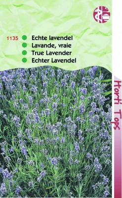 Zaden online Kruidenzaden Lavendel, Lavandula officinalis Lavendel, Lavandula officinalis  (TP11135)