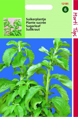 Zaden online Kruidenzaden Stevia suikerplantje Stevia suikerplantje  (TP112185)