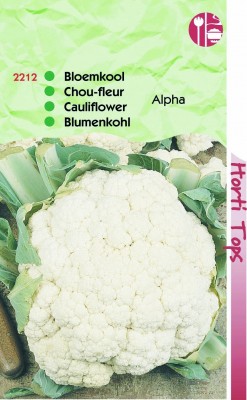 Zaden online Groentezaden Koolzaden Bloemkool zaden Bloemkool Alpha Bloemkool Alpha (TP12212) Zaden online Groentezaden Koolzaden Bloemkool zaden Bloemkool Alpha Bloemkool Alpha (TP12212)