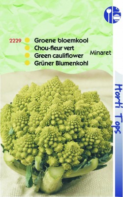 Zaden online Groentezaden Koolzaden Bloemkool zaden Bloemkool Minaret, Groene romanesco Bloemkool Minaret, Groene romanesco (TP12229) Zaden online Groentezaden Koolzaden Bloemkool zaden Bloemkool Minaret, Groene romanesco Bloemkool Minaret, Groene romanesco (TP12229)