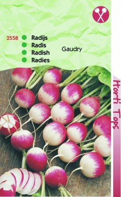 Zaden online Groentezaden Radijs zaden Radijs Gaudry Ronde rode Witpunt Radijs Gaudry Ronde rode Witpunt (TP12558) Zaden online Groentezaden Radijs zaden Radijs Gaudry Ronde rode Witpunt Radijs Gaudry Ronde rode Witpunt (TP12558)