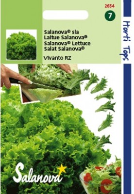 Zaden online Groentezaden Sla zaden Kropsla zaden Kropsla Salanova Virtuose RZ (Vivanto RZ) Kropsla Salanova Virtuose RZ (Vivanto RZ) (TP12654) Zaden online Groentezaden Sla zaden Kropsla zaden Kropsla Salanova Virtuose RZ (Vivanto RZ) Kropsla Salanova Virtuose RZ (Vivanto RZ) (TP12654)