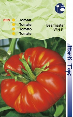 Zaden online Groentezaden Tomaten zaden Tomaat Beefmaster F1 hybride Tomaat Beefmaster F1 hybride (TP12839) Zaden online Groentezaden Tomaten zaden Tomaat Beefmaster F1 hybride Tomaat Beefmaster F1 hybride (TP12839)