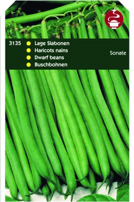 Zaden online Peulvruchten zaden Stamslabonen zaden Stamslabonen Sonate Stamslabonen Sonate (TP13135) Zaden online Peulvruchten zaden Stamslabonen zaden Stamslabonen Sonate Stamslabonen Sonate (TP13135)