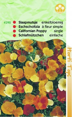 Zaden online Bloemenzaden Zaden Eenjarigen Escholtzia Slaapmutsje enkelbl. gemengd Escholtzia Slaapmutsje enkelbl. gemengd (TP14290) Zaden online Bloemenzaden Zaden Eenjarigen Escholtzia Slaapmutsje enkelbl. gemengd Escholtzia Slaapmutsje enkelbl. gemengd (TP14290)