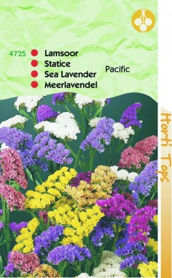 Zaden online Bloemenzaden Zaden Eenjarigen Statice Lamsoor Sinuata Pacific gemengd Statice Lamsoor Sinuata Pacific gemengd (TP14725) Zaden online Bloemenzaden Zaden Eenjarigen Statice Lamsoor Sinuata Pacific gemengd Statice Lamsoor Sinuata Pacific gemengd (TP14725)