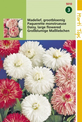 Zaden online Bloemenzaden Zaden Tweejarigen Madeliefjes Monstrosa grootbloemig gemengd Madeliefjes Monstrosa grootbloemig gemengd (TP15010) Zaden online Bloemenzaden Zaden Tweejarigen Madeliefjes Monstrosa grootbloemig gemengd Madeliefjes Monstrosa grootbloemig gemengd (TP15010)