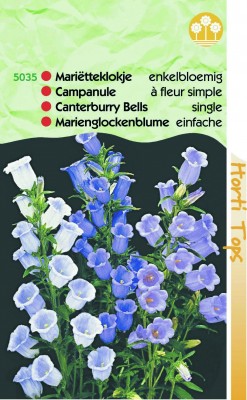Zaden online Bloemenzaden Zaden Tweejarigen Mariette-klokje enkelbloemig gemengd Mariette-klokje enkelbloemig gemengd (TP15035) Zaden online Bloemenzaden Zaden Tweejarigen Mariette-klokje enkelbloemig gemengd Mariette-klokje enkelbloemig gemengd (TP15035)