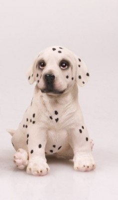 Levensechte beelden Dierenbeelden levensecht Hondje gevlekt 14 cm zittend Hondje gevlekt 14 cm zittend  (3110 zittend)