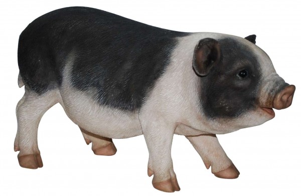 Levensechte beelden Dierenbeelden levensecht Varkentje zwart-wit gevlekt 21x9x12 (3088) Levensechte beelden Dierenbeelden levensecht Varkentje zwart-wit gevlekt 21x9x12 (3088)