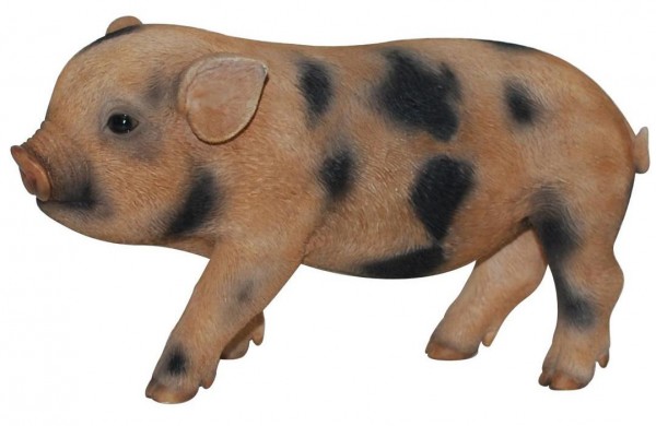 Levensechte beelden Dierenbeelden levensecht Varkentje bruin gevlekt 21x9x12 Varkentje bruin gevlekt 21x9x12 (3088 bruin gevlekt) Levensechte beelden Dierenbeelden levensecht Varkentje bruin gevlekt 21x9x12 Varkentje bruin gevlekt 21x9x12 (3088 bruin gevlekt)