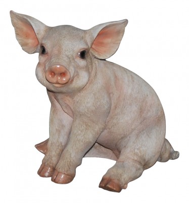 Levensechte beelden Dierenbeelden levensecht Varkentje klein 15x12  (MI3052 S)