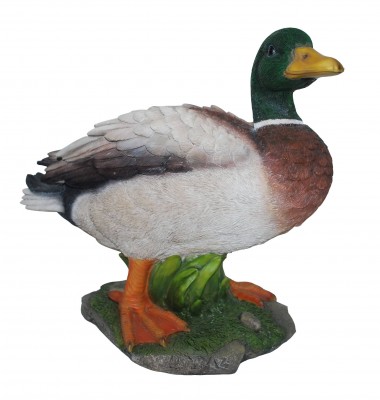 Levensechte beelden Dierenbeelden levensecht Eend Stone Lite 32x29  (MI3062)