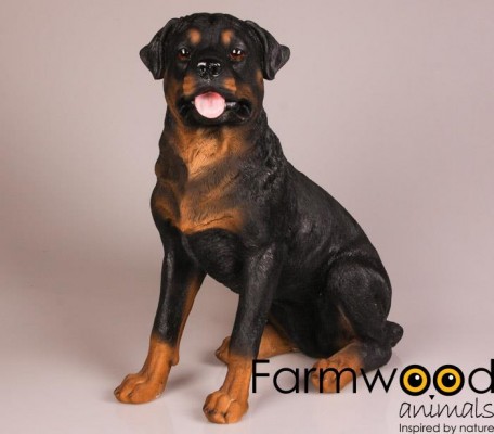 Levensechte beelden Dierenbeelden levensecht Levensechte Rotweiller 21cm  (MI3075S)