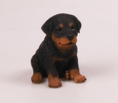 Levensechte beelden Dierenbeelden levensecht Vos zittend 23X21X32 Levensechte Rotweiller puppy 9x13x16  (MI3241)