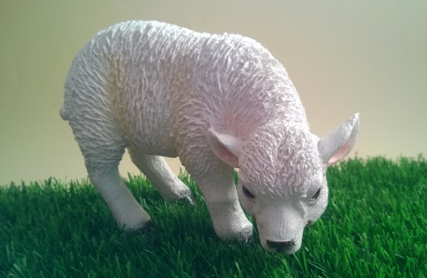 Levensechte beelden Dierenbeelden levensecht Levensecht lammetje 19x13   (MI3050S_1)