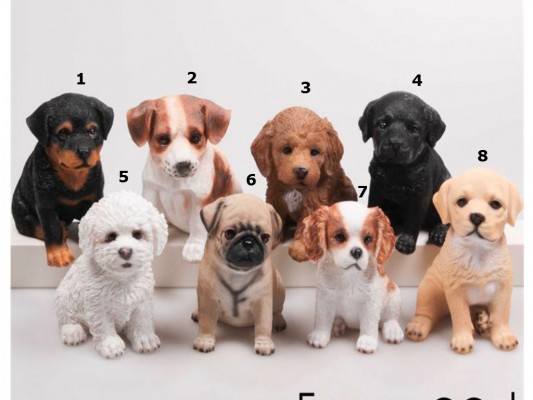 Levensechte beelden Dierenbeelden levensecht Egeltjes per 3 assortiment 6 cm Levensechte Cockapoo puppy 15 cm  (MI3291-3)