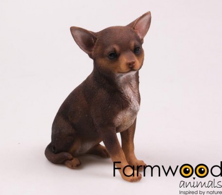Levensechte beelden Dierenbeelden levensecht Levensechte Chihuahua 23 cm  (MI3193)