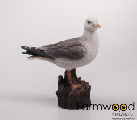 Levensechte beelden Dierenbeelden levensecht Meeuw 23 cm  (MI3409)